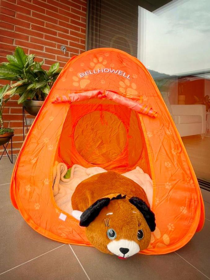CARPA MÁGICA CON PELUCHE PARA NIÑOS - Image 3